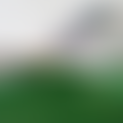 Thierry Grootaers, Ma Maison, d'après l'adresse Facebook de l'artiste  