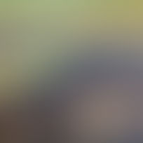 Ludovic Janssen, Panorama de Liège (palier du sixième étage du Lycée Léonie de Waha), d'après le lien ci-dessous