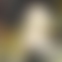 Charles Soubre, Jeune Femme nue de dos, d'après Artnet et l'iconographie Google