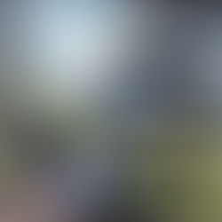 Paysage, d'après Facebook, Peintres Liégeois