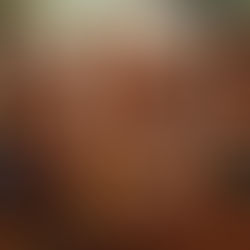 André Hallet, Les Femmes du Congo belge, d'après Hôtel de Ventes Horta, Artprice et Pinterest