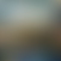 José Wolff, d'après Facebook, Peintres Liégeois