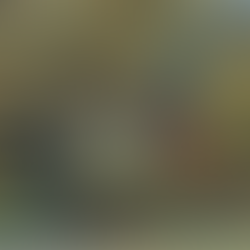 Luc Mormont, Vaux-sous-Chèvremont, Lumière d'Automne, publication de l'artiste dans le Groupe Facebook des Peintres Liégeois