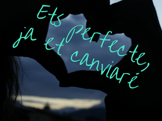 Ets perfecte, ja et canviaré