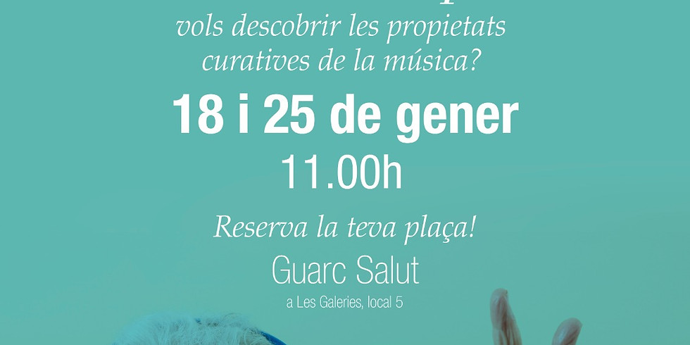 Taller Musicoterapia (2a Edición)