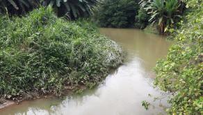 CNE reconstruirá diques en Matina para combatir inundaciones