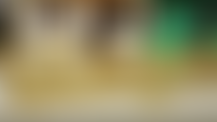 Proyecto de Control de Inundaciones en Limoncito beneficia a 24 mil familias