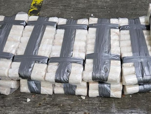 Disfrazan cocaína como yuca en contenedor rumbo a Europa 