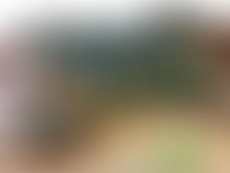 Reunión “therian” sin permisos de la Muni