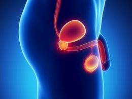 Día Mundial contra el Cáncer de Próstata: no es una cosa solo de hombres mayores 