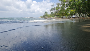 Limonenses disfrutan de Playa Acapulco