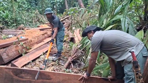Frenan tala ilegal en Refugio Nacional de Vida Silvestre Barra del Colorado