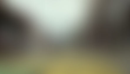 "Limón es prioridad" dicen en el Gobierno.