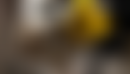 OIJ realizó 23 allanamiento este domingo en Limón