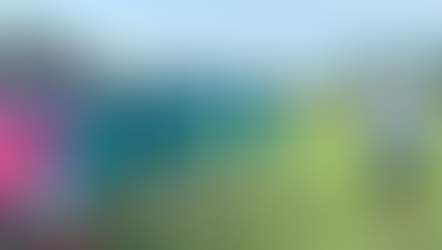 Limón Black Star inicia su pretemporada con miras al ascenso