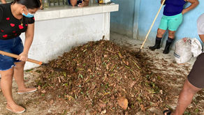 Capacitarán a 200 mujeres emprendedoras del Caribe en agroecología y agricultura orgánica