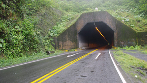 Diputados limonenses reaccionan a irregularidades denunciadas por Gobierno sobre la ruta 32