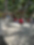 18d88e61-e696-4268-8a74-4ea451babcc4.JPG
