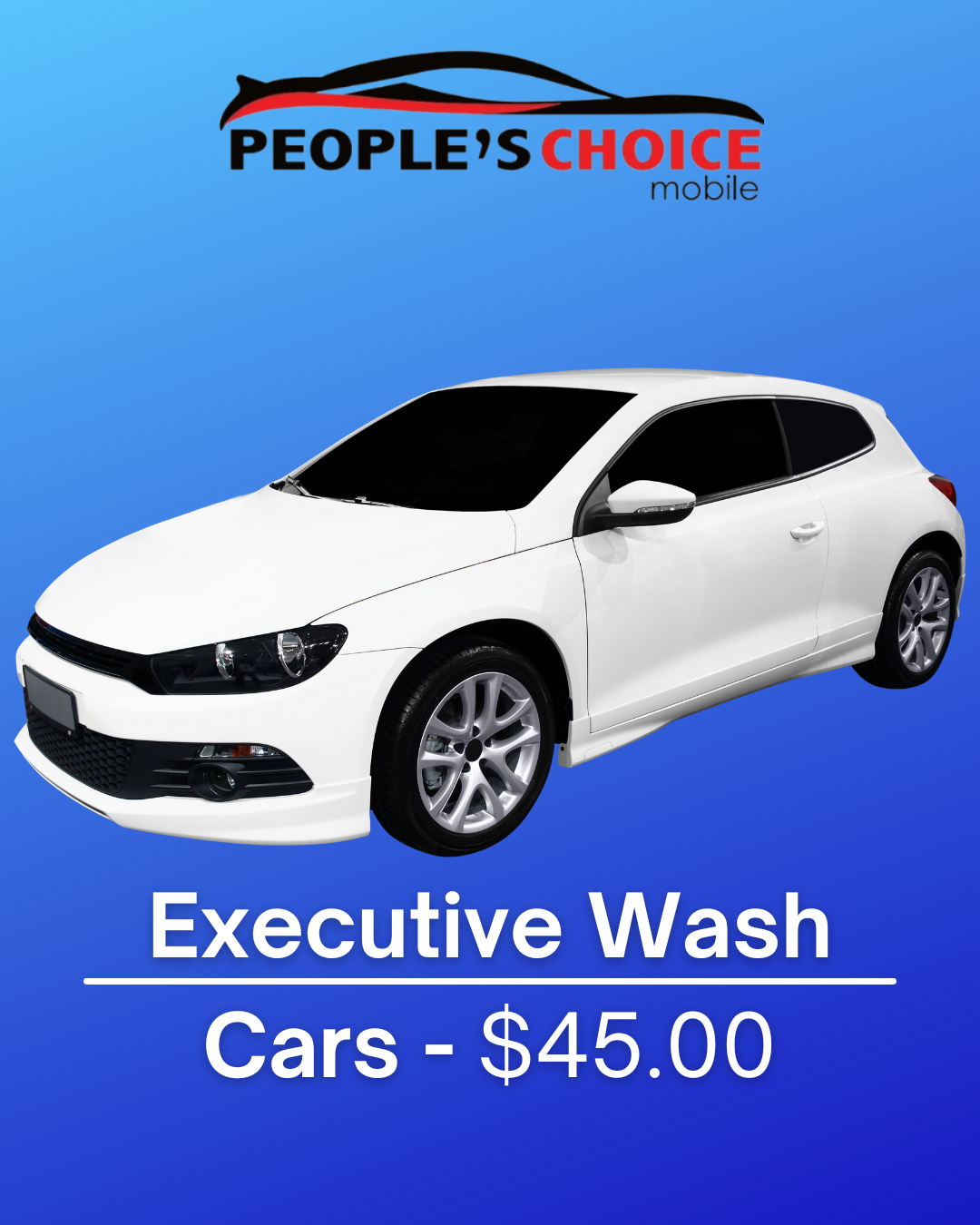 In & Out [Basic Car]