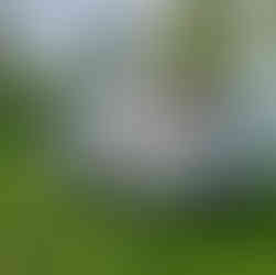 Audi RS6 C6 5.0 V10 TFSI