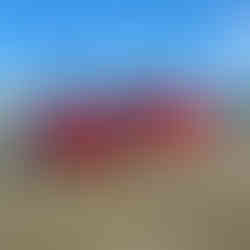 Chevrolet Covette C6 Roadster