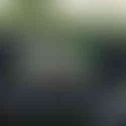 Toyota Camry Hybrid (XV80)