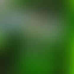 Intriér Ford F150 Lariat