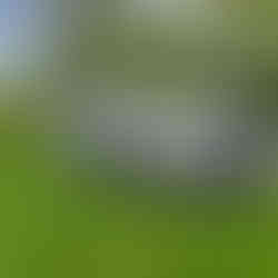 Audi RS6 C6 5.0 V10 TFSI