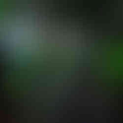 interiér Ford F150 Lariat