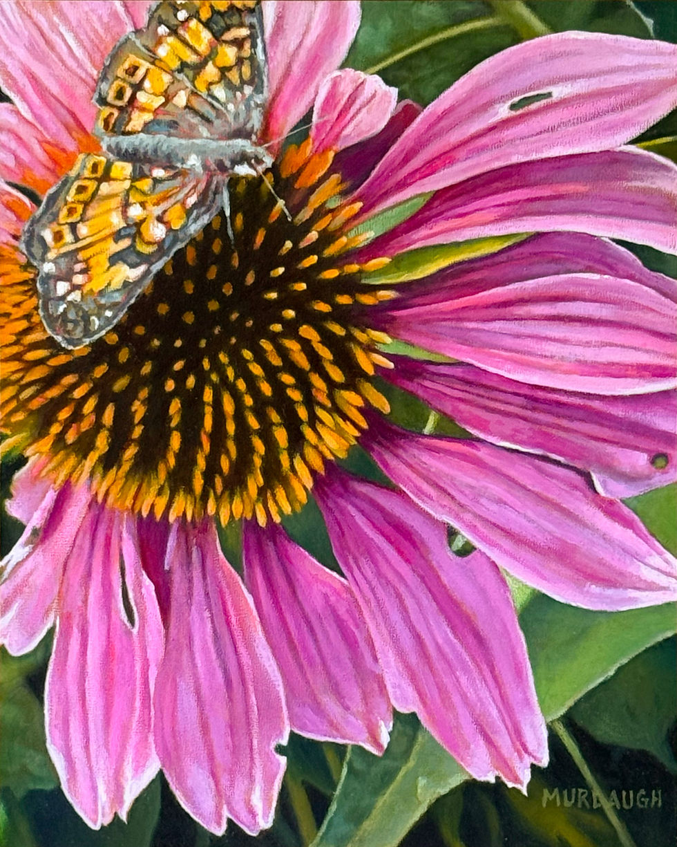 original oil flower painting of a pink coneflower with a butterfly