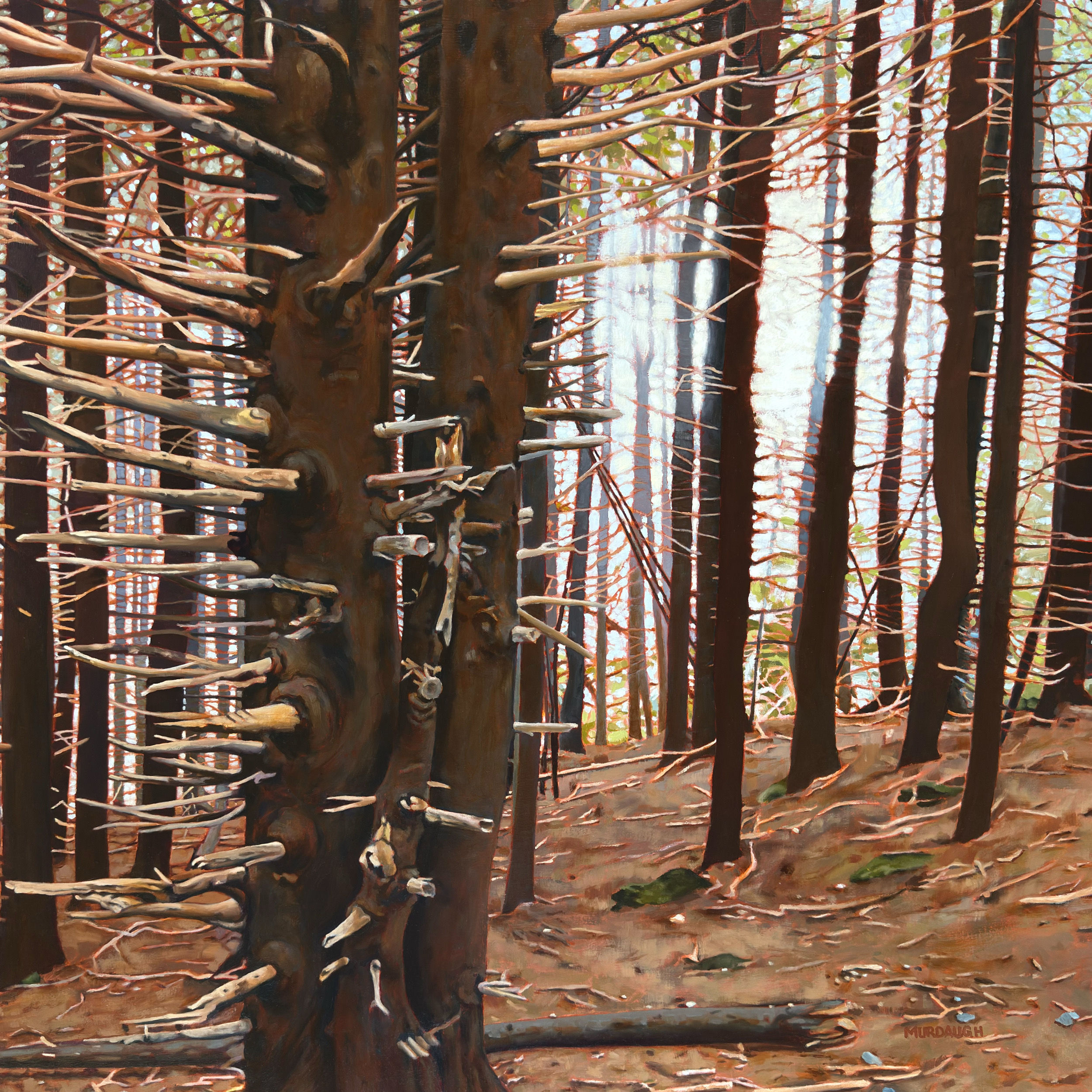original oil landscape painting of roan mountain carver's gap spruce fir forest and god's countenance