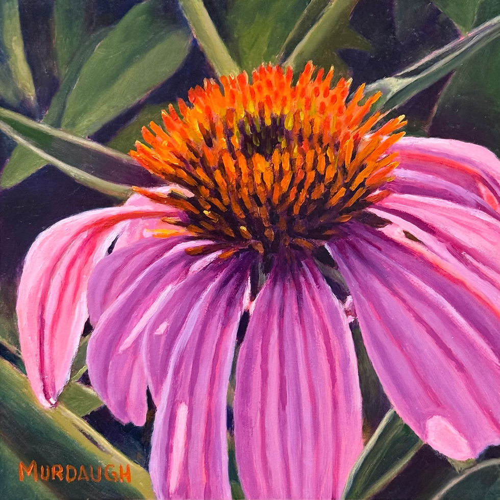 original oil flower painting of a pink coneflower