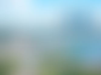 Google Cloud establishes point carbon zero program advisory board