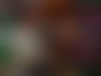 DayDayCook and Brinc investing in food tech companies that impact global food sustainability goals