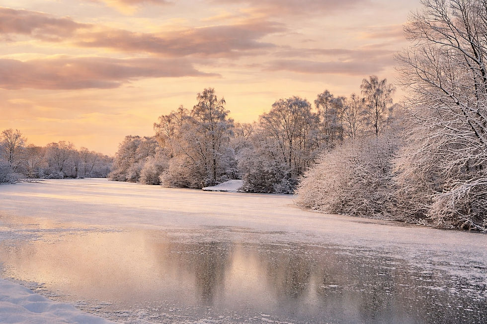 WhatsApp Image 2026-01-05 at 11.19.25.jpeg