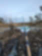 PXL_20240128_160333565.jpg