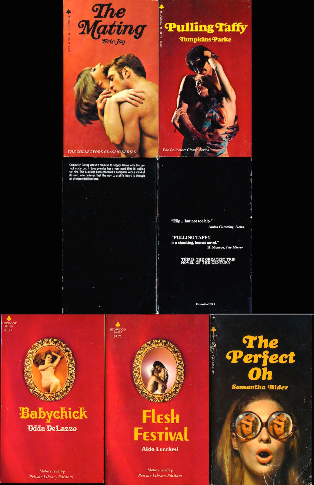 Midwood Books: Collectors Classic, Private Library (5 vintage adult paperbacks)