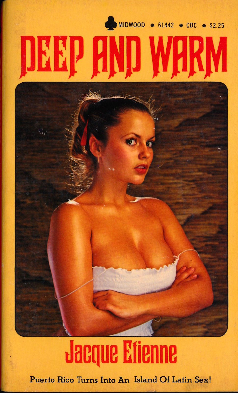 Deep and Warm (Vintage adult paperback, Joanne Latham front cover, 1980)