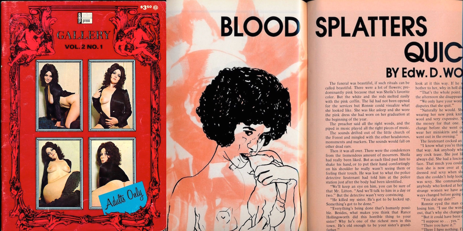 Gallery (vintage adult magazine, 1973)