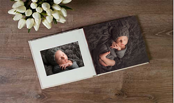 Fine art album