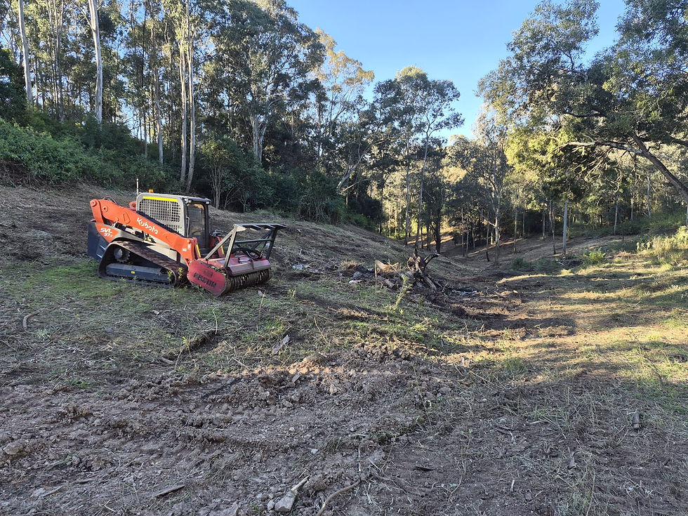 Bobcat clearing site work
