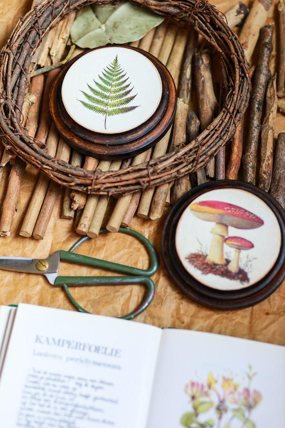 Thumbnail: Botanical Wall Medallions – Fern and Amanita