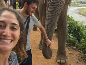 Gap Year