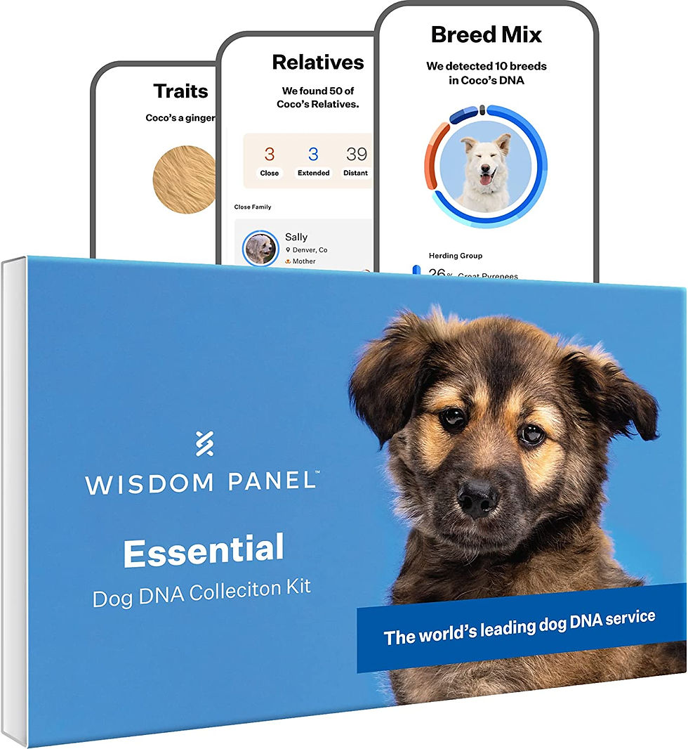 Wisdom Panel Essential: Most Accurate Dog DNA Test Kit for Breed ID and Ancestry Review
