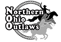 NOO Logo (Newest).png