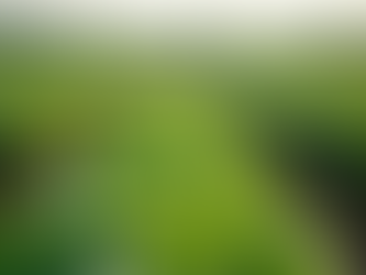 Supporting Local Farmers: The GREENSY Commitment to Sustainability