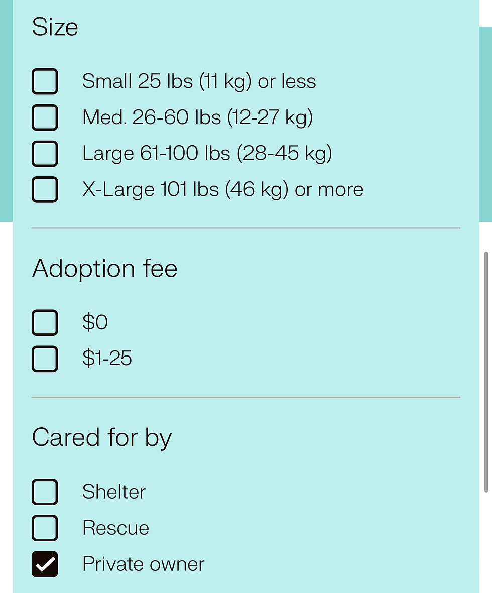 Screenshot: Adopt-a-Pet