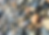 Screenshot 2025-03-28 at 11.59.21 AM.png