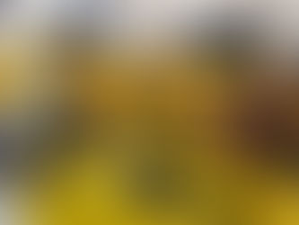 10/3 - Buracão da Arte inicia novas turmas de Capoeira Angola (movimento e música)