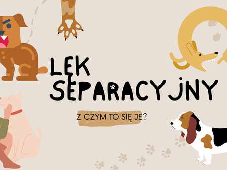 Lęk separacyjny u psa